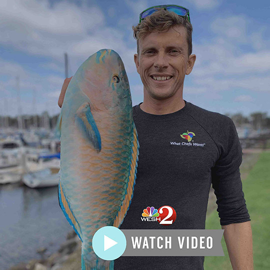 Kelly holding up Parrotfish at local dock